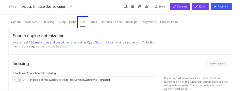 Onglet SEO dans projet setting Webflow