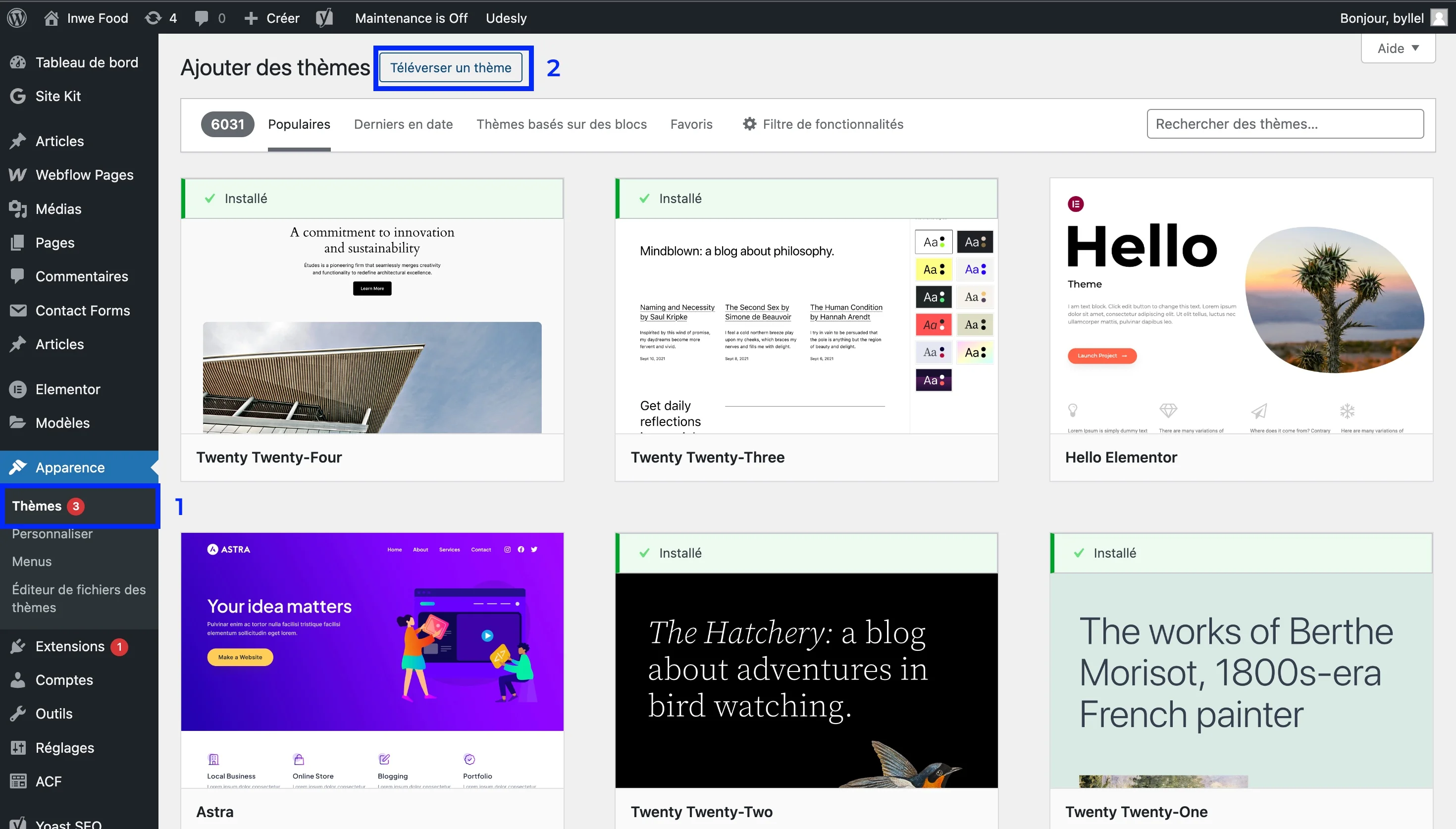 Installez maintenant le thème directement depuis Wordpress